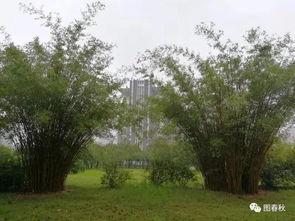 青青青草国产免费 第3张 青青青草国产免费 第3张