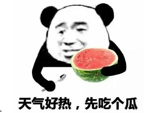 吃瓜表情吧,揭秘网络社交中的趣味与智慧