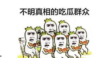 吃瓜群众图片大全大图,趣味横生的社会百态缩影